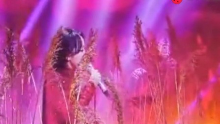 《九儿》(红高粱片尾曲)(韩红原唱&卡拉OK伴