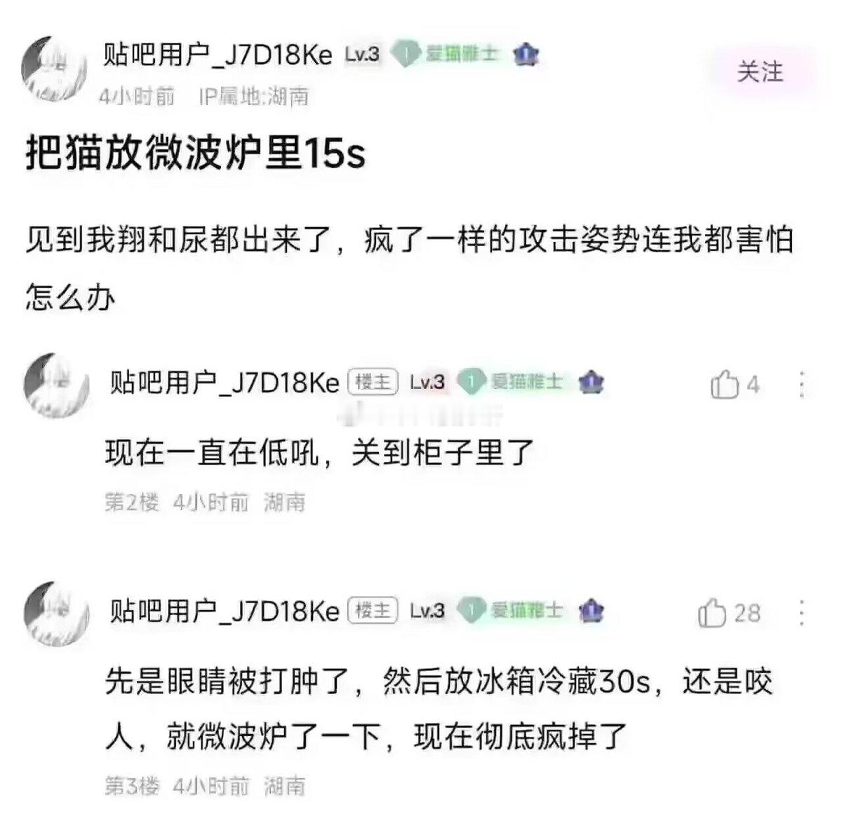 爱猫人士表示该看不下去了​​​