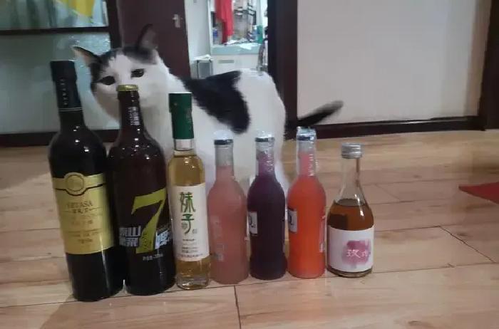 57岁大叔明明天天吃他汀，去年却突发心梗走了，这事听完很多人直冒冷汗：药都吃了，