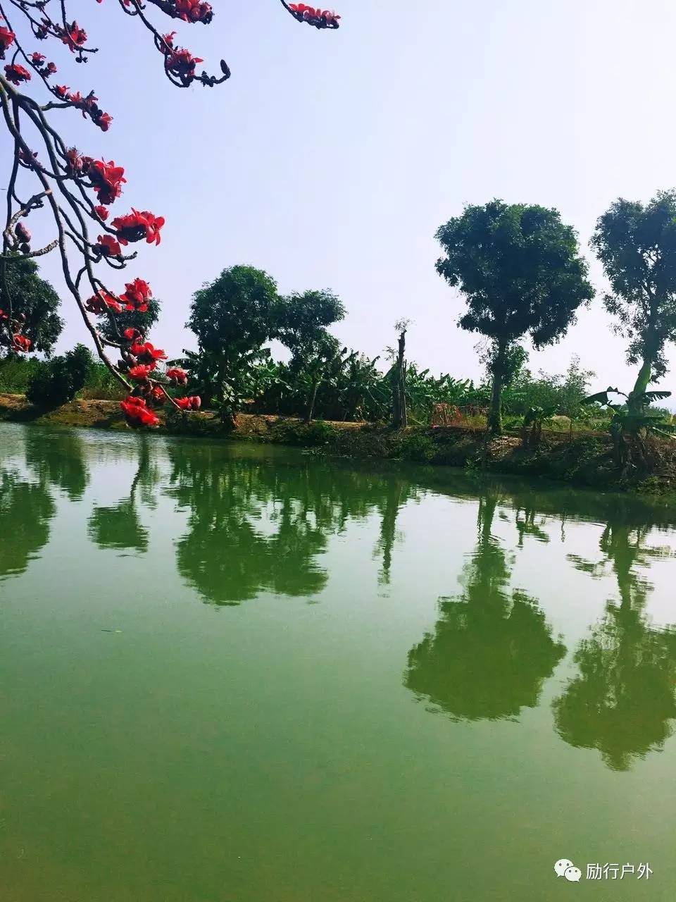 发现揭阳美景之长美古村