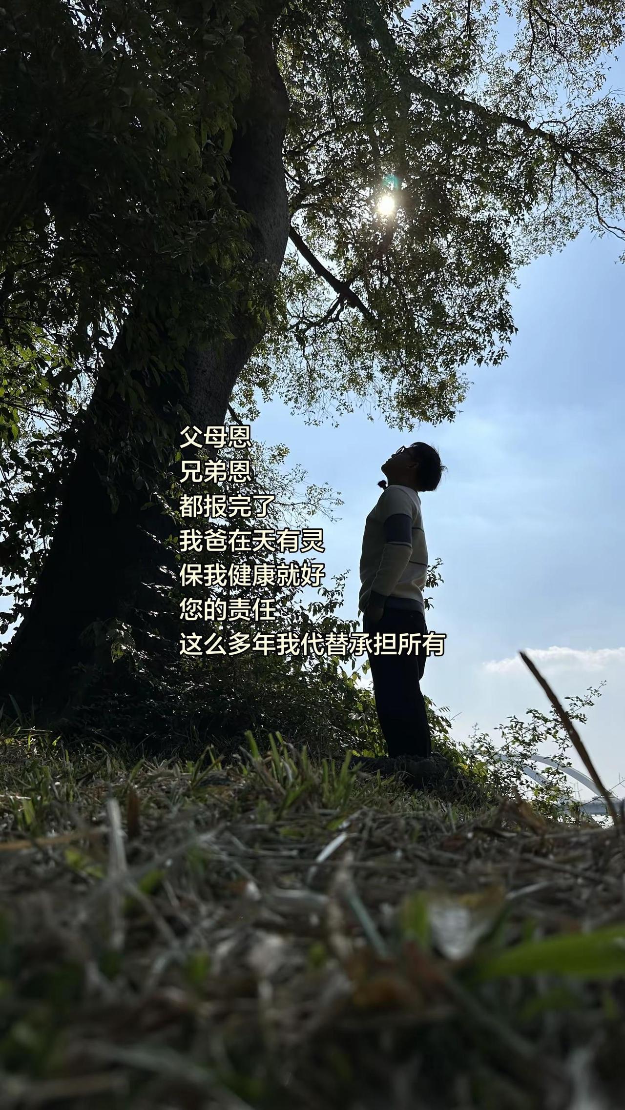 又失眠，还是发条朋友圈再说吧……最近头晕意识模糊已经一个月，早睡也没啥变好，今