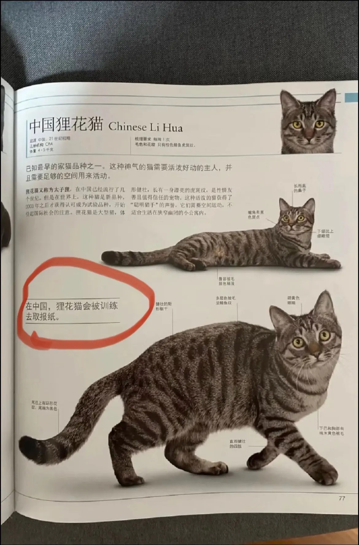 人，我现在去给你拿报纸​​​