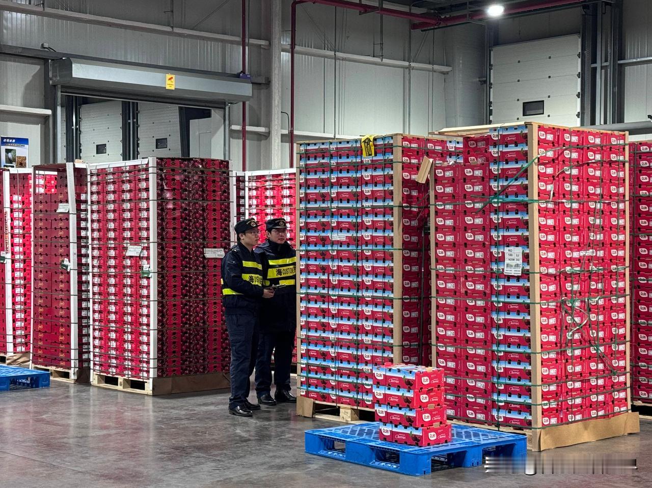 车厘子价格创5年新低，“水果贵族”走下神坛。三年前买盒车厘子还得咬牙，现在9块