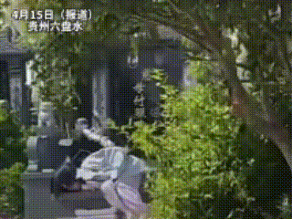 泪目了！4月13日，贵州六盘水，一墓园内，路人远远就看见一个小小的身影，扑在双人