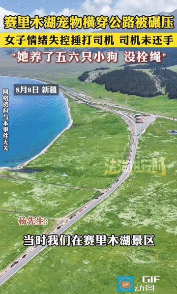 新疆赛里木湖景区，一辆白色越野车在路上正常行驶，几只没有拴绳的小狗奔跑着穿越公路
