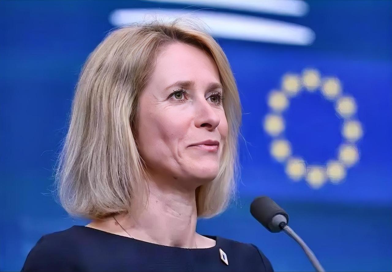 欧盟美女外长卡拉斯闹出国际笑话！她在自己的社交媒体发布了一张照片，配文写道：“很