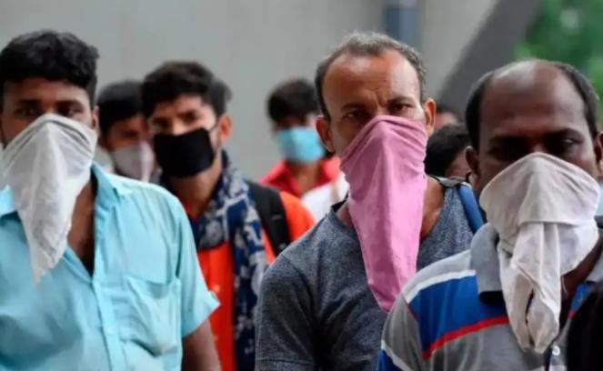 印度“致命病毒”来源实锤了！果蝠是元凶，医院成扩散温床！这绝非偶然