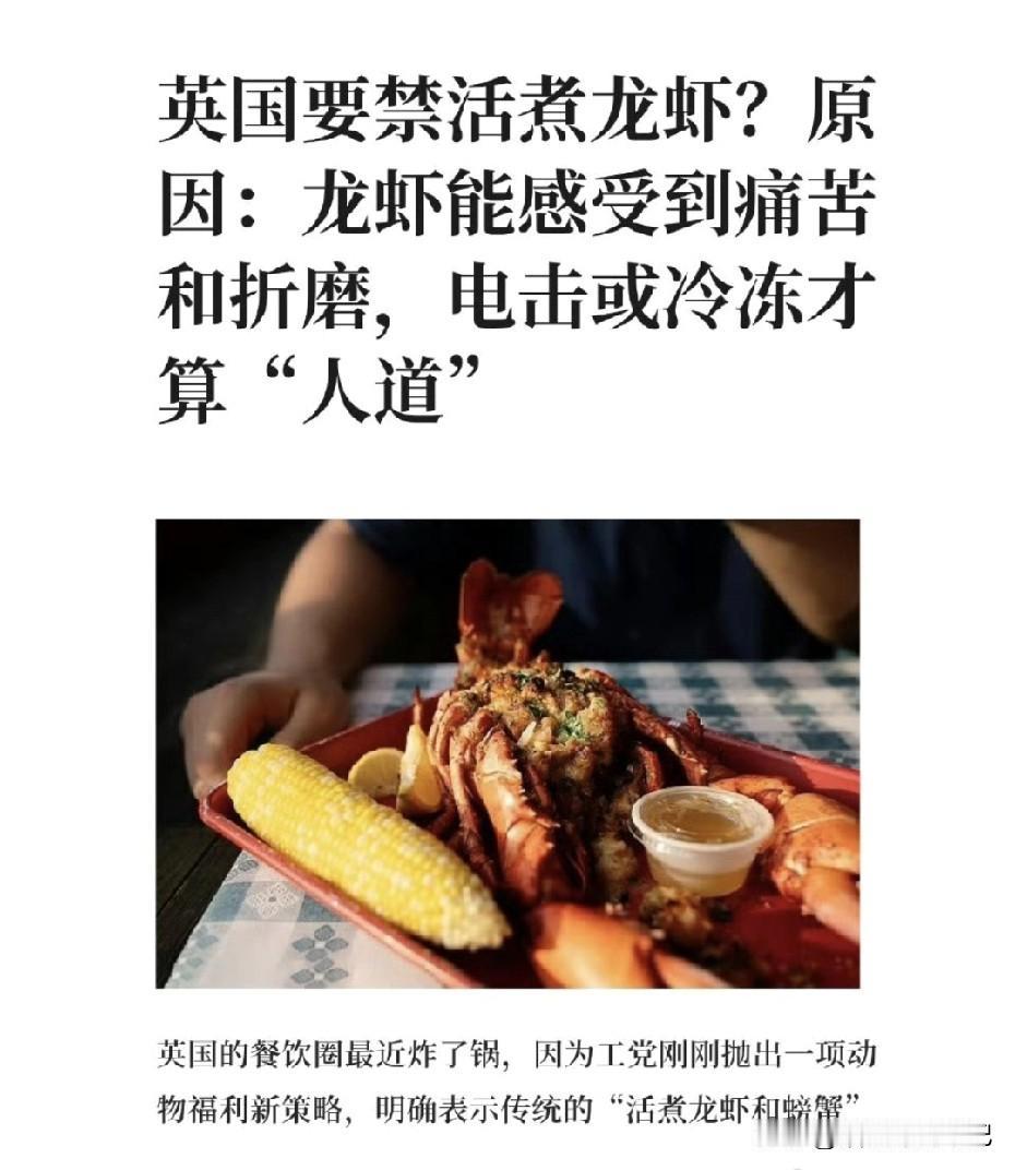 以后在英国，厨师把活龙虾“啪”扔进锅里算违法，得先给虾哥电晕或冰晕，才能下锅，理