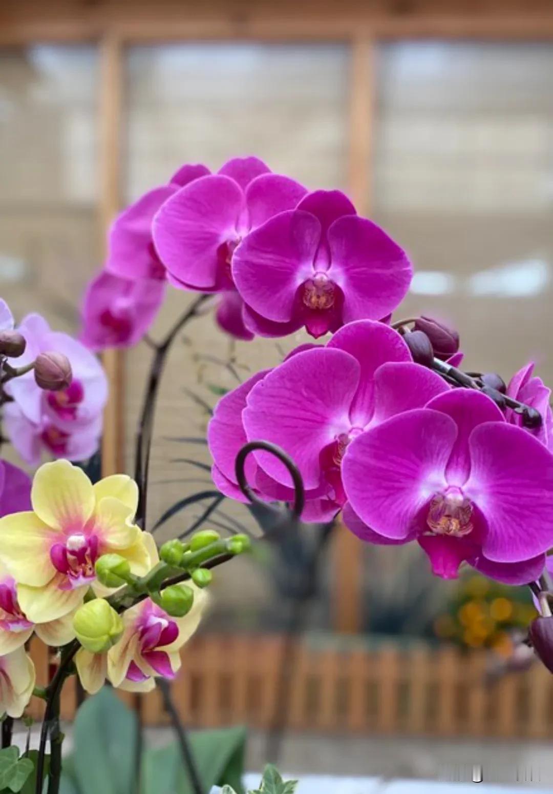 冯唐说：“女人最美的样子，不是相夫教子，不是素面朝天，更不是老实听话，不是乖巧省