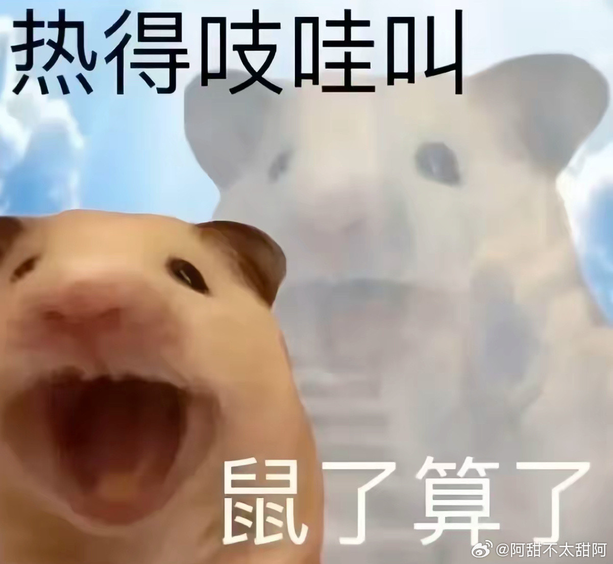 已经热到开始理解吸血鬼了，今天这个太阳晒到我我也会惨叫…​​​