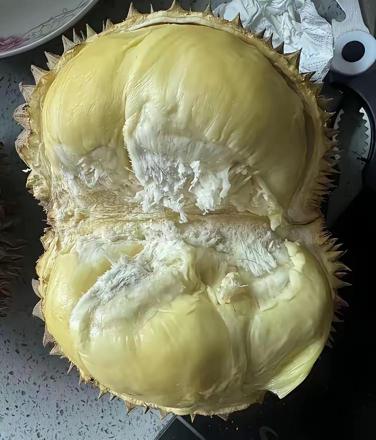 今儿去超市买菜，瞧见个品相老好了的榴莲，没忍住就买了。回家老公瞅见我拎着榴莲，脸