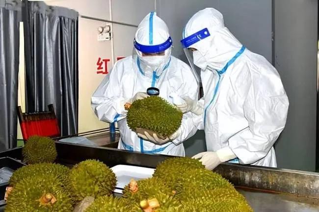 一个卖榴莲的，能惊动越南公安部？一个农业系统的副部长，能因为几颗果子被提起公诉？