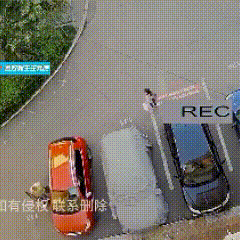 谁能料到会发生这样的事呢？或许这就是命运。在交通安全警示教育视频里，一名女子搭