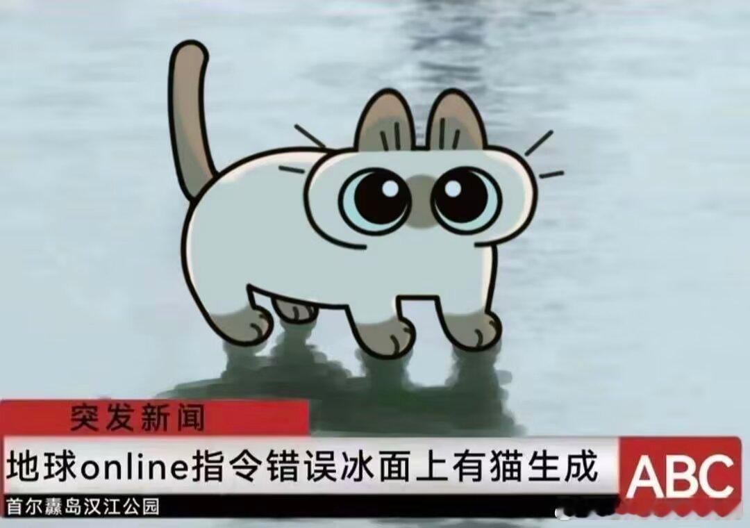 3103一只猫在结冰的汉江上行走。🐈