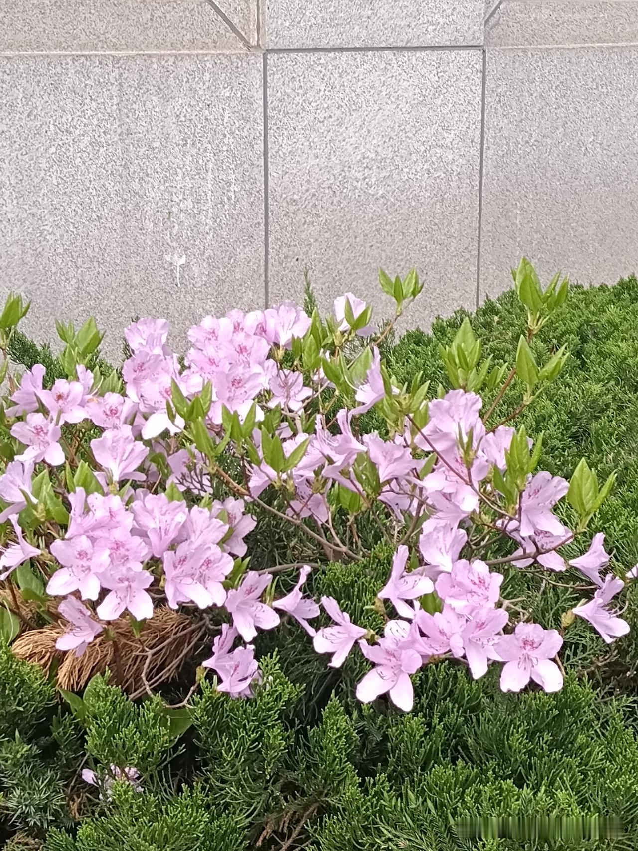 骨子里坏透了的人，通常有以下八个特征：喜欢打探你的隐私，却对自己的事守口如瓶。