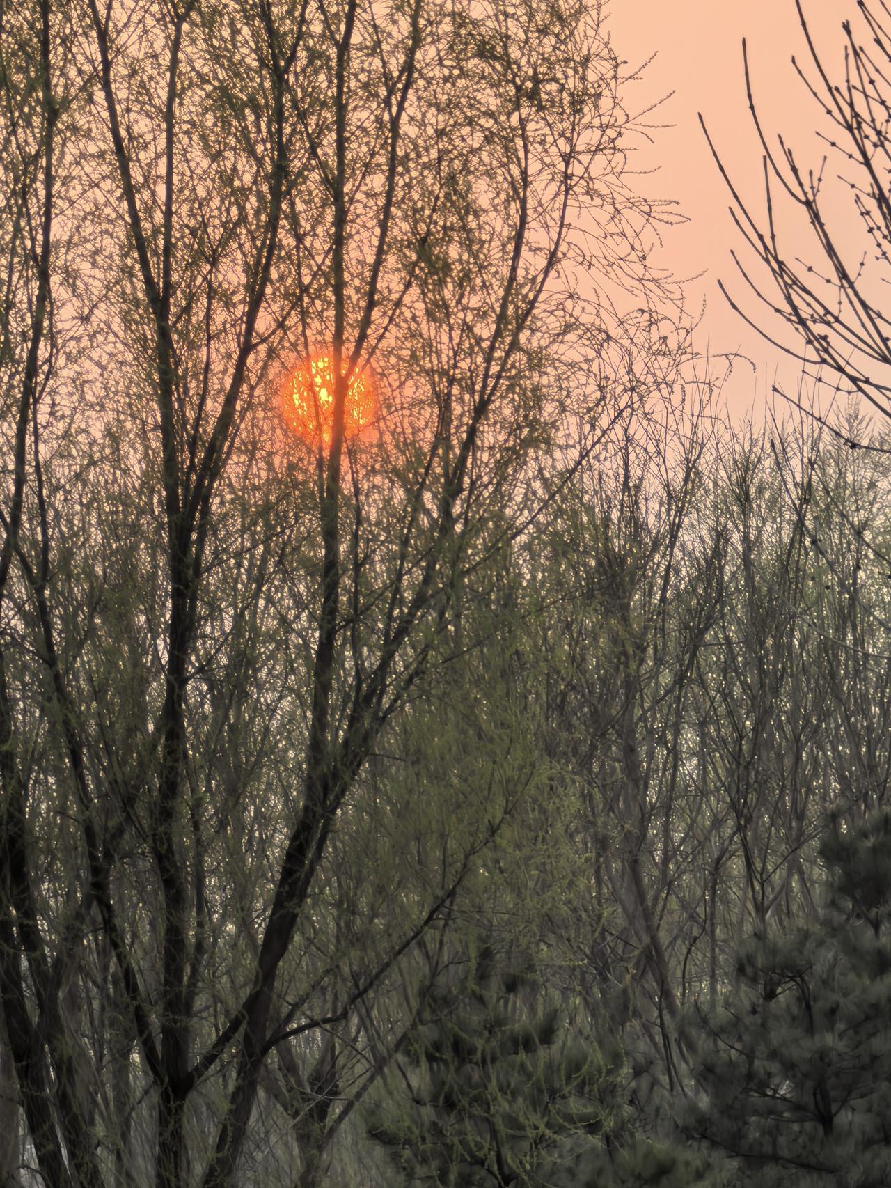 教育部“20条负面清单”：给基础教育划下这些“红线”今天，教育部发布《基础