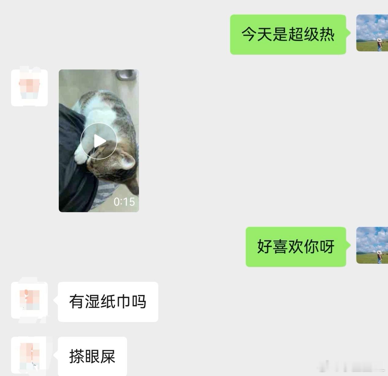 上门喂猫一小时没找到客户我家馋猫们就完全不存在这情况…只要听到倒猫粮声音再害怕