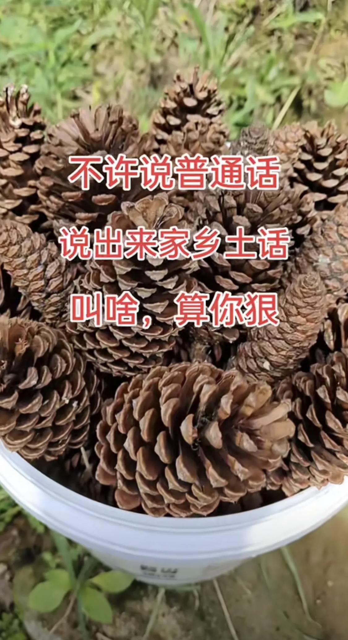 99%的人都不认识这个[？？？]