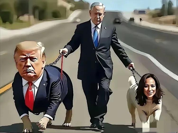 网友们实在是太有才了！不服都不行。这张图是对2019年《纽约时报》发表的