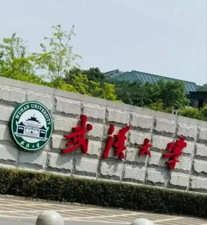 大学咋成这样了？武大没完中南又爆事！武大图书馆的事还没结束，中南大学又出问
