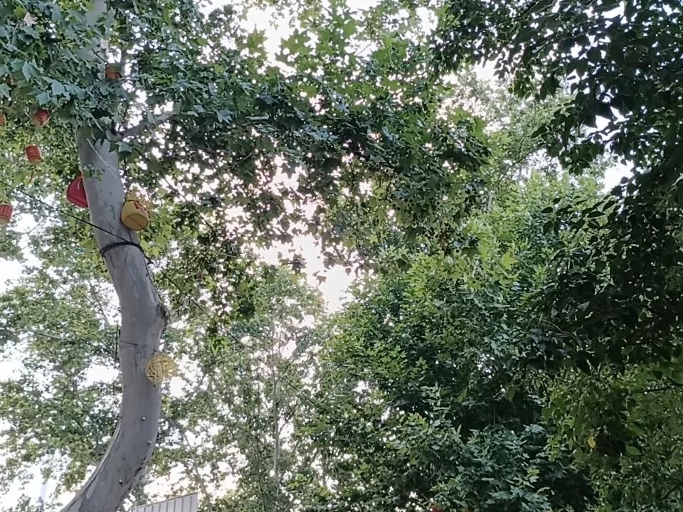 提取文字国家经济越来越好了，现在七月已过半，如果不出意外的话，七月份的消费