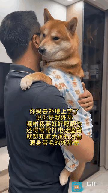 “愁死了”山东一男子的女儿去外地上学了，离家前特意嘱咐男子让他在家里把自己养的“