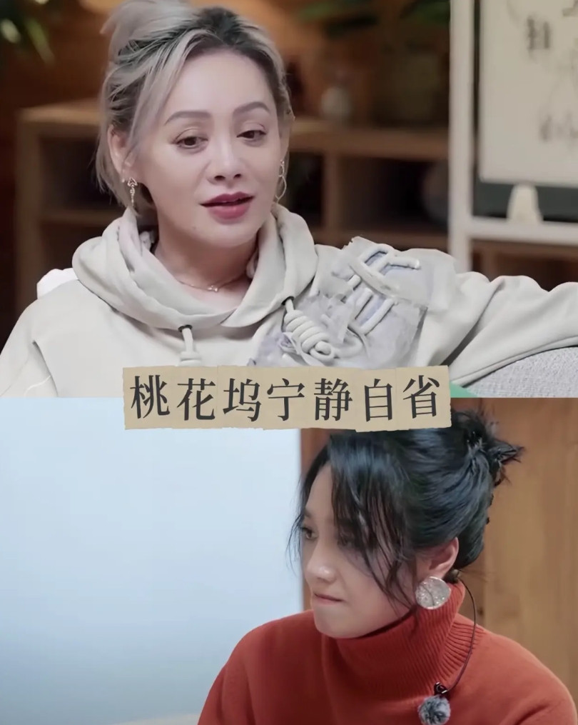 讲真的，我以前并不喜欢宁静这个人总感觉她说话夹枪带炮拽得很但是今天看了《