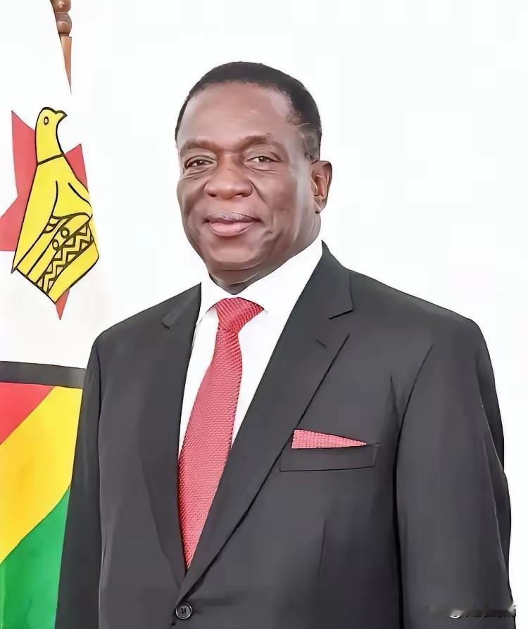 津巴布韦禁止锂矿出口！！！中企在津巴布韦的投资难道又要打水漂了？从尼日尔油田