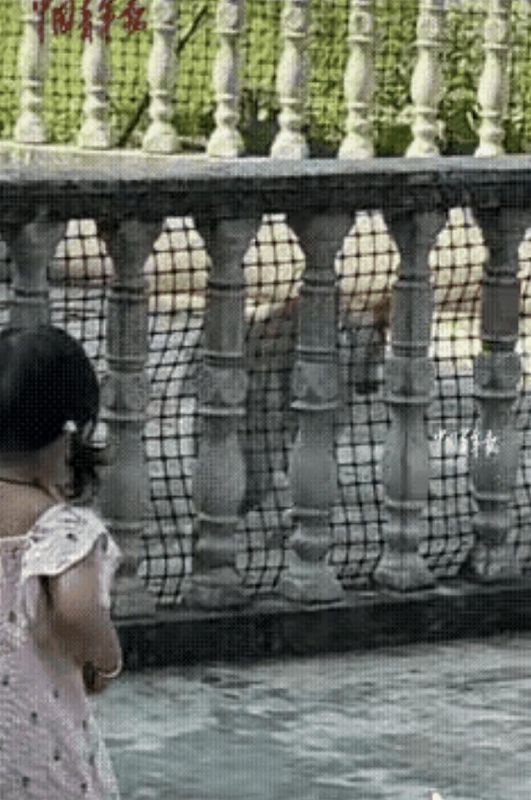 “万万没想到！”江西九江，一岁半女孩回老家，看见院中熟睡的狗子，就跑过去想和狗子