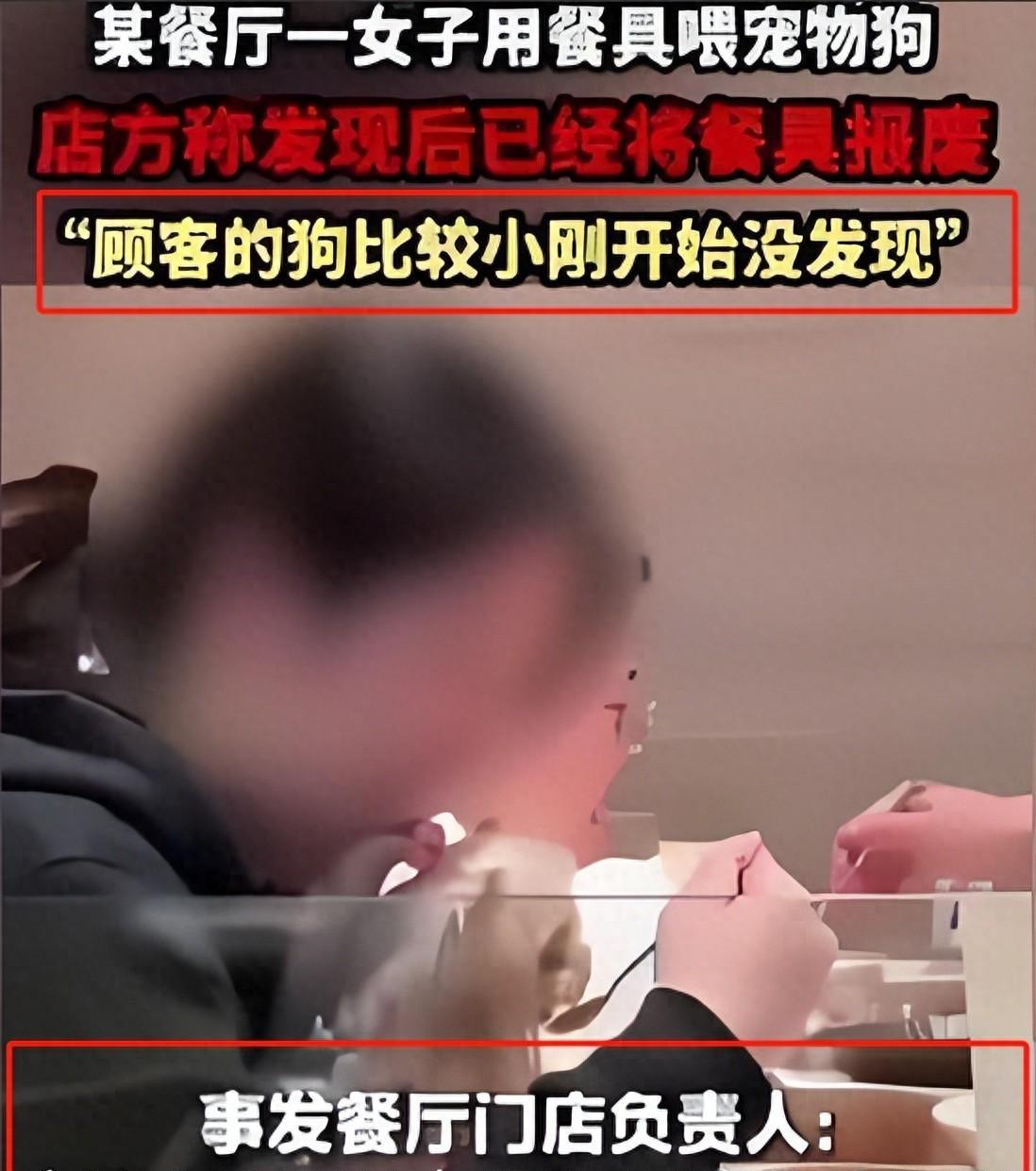 女子餐厅用人吃饭勺子喂狗，出现人狗共餐具现象，网友真的生气了。就在江苏