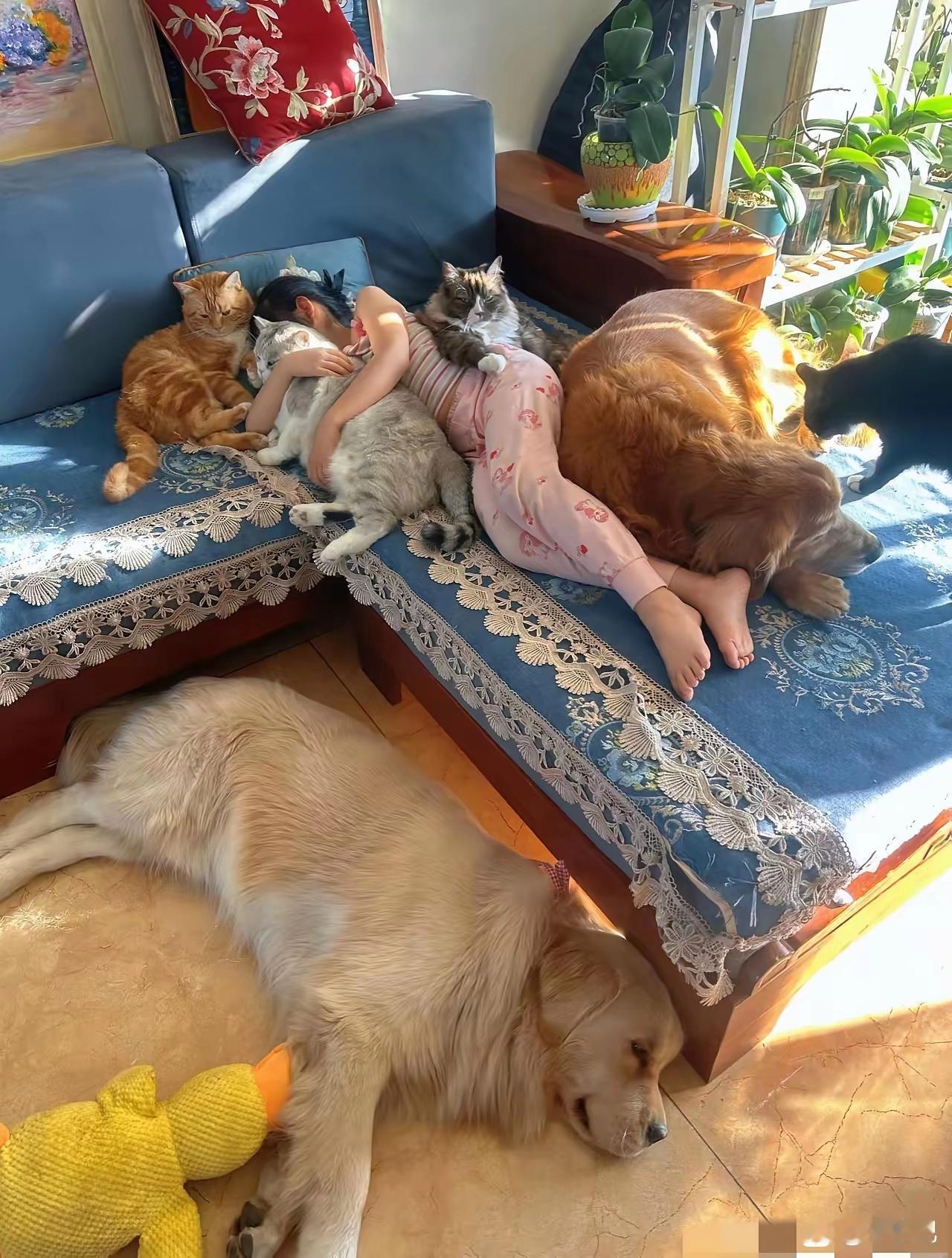 这个家庭一定很富有[赞]