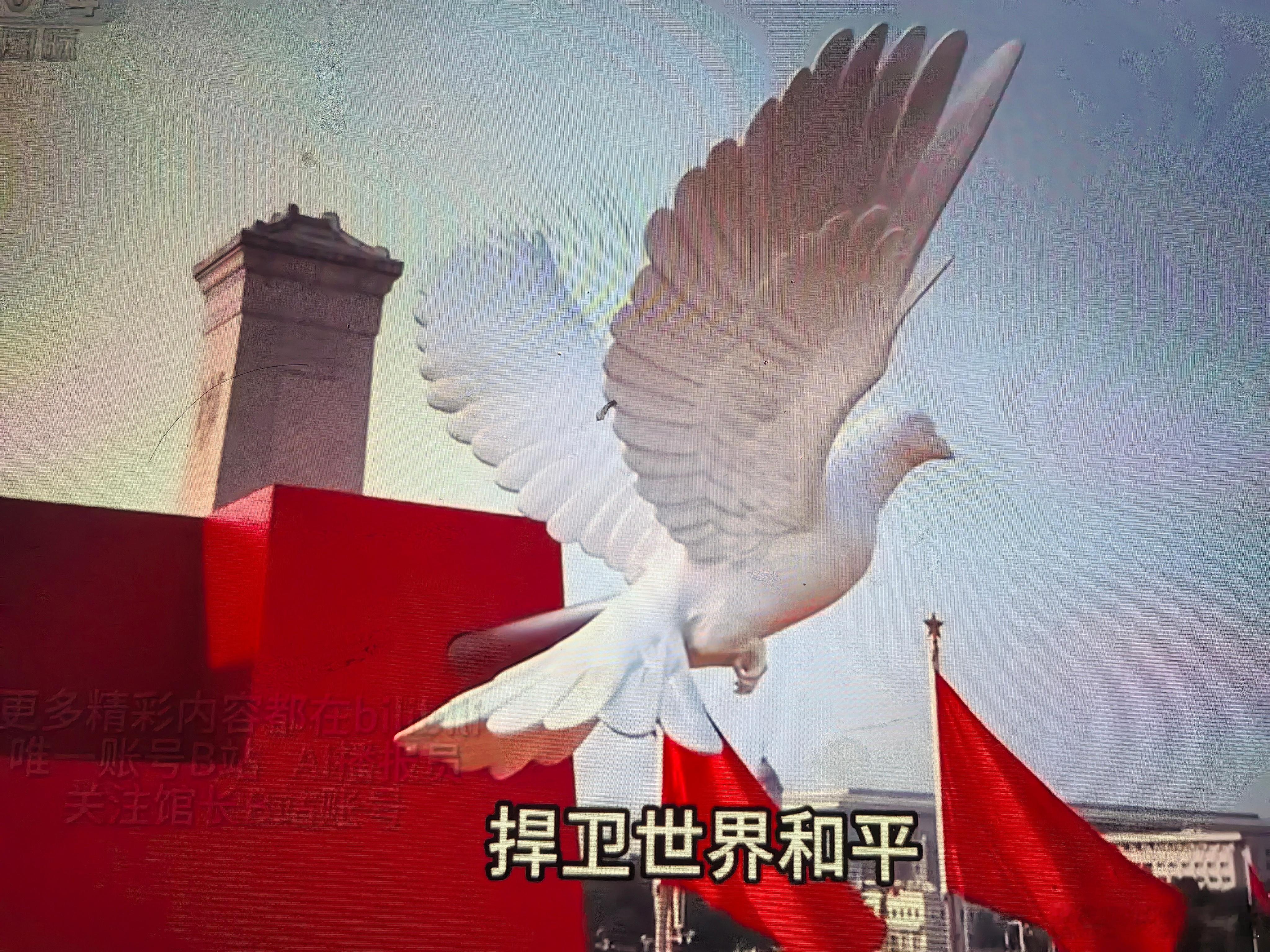 灯塔竟是我自己[doge]​​​