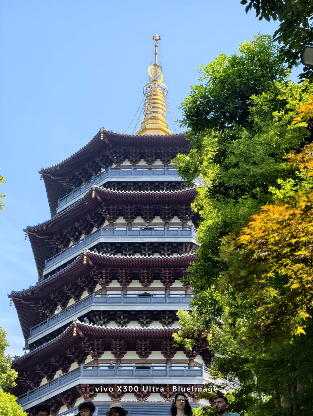 西湖的水我的泪，打卡西湖景区