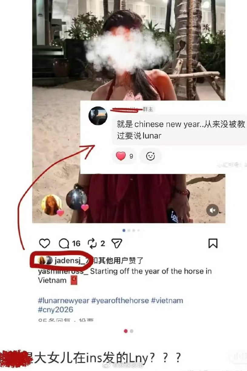 钟丽缇两个女儿都翻车了之前姐姐jaden把妹妹考拉用脚滑飞机屏幕的照片发网上了最