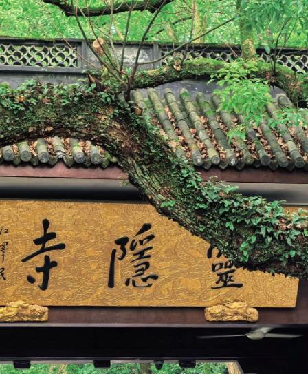 免费逛灵隐寺的好事儿，咋就变成38万人集体放鸽子？这事儿得从去年12月说起。杭州