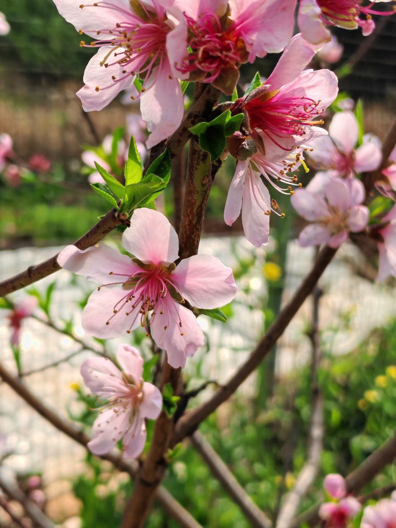 1.一个男人如果他突然倒霉，破产破财，各种不顺利，你真的不用多想，不用替他找什