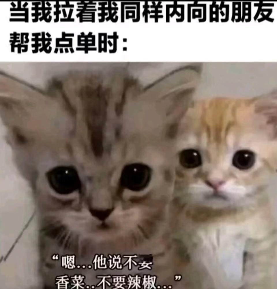 猫猫梗图​​​