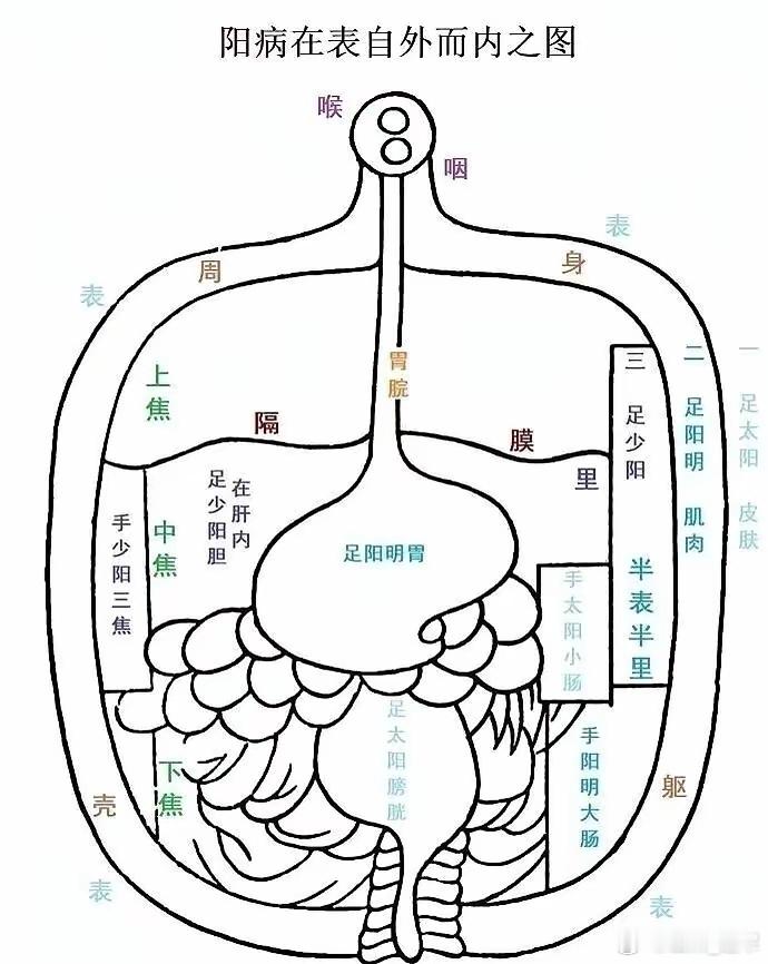 阳病在表：治疗原则为发汗解表，通过开泄腠理、调和营卫，使病邪从肌表随汗液排出，常