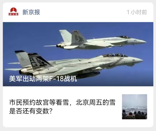 你这虫子怎么还会喵喵叫