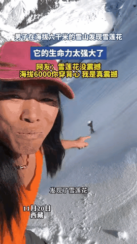万万没想到！西藏大哥在6000米雪山发现雪莲花，结果全网都在扒他的衣服！1