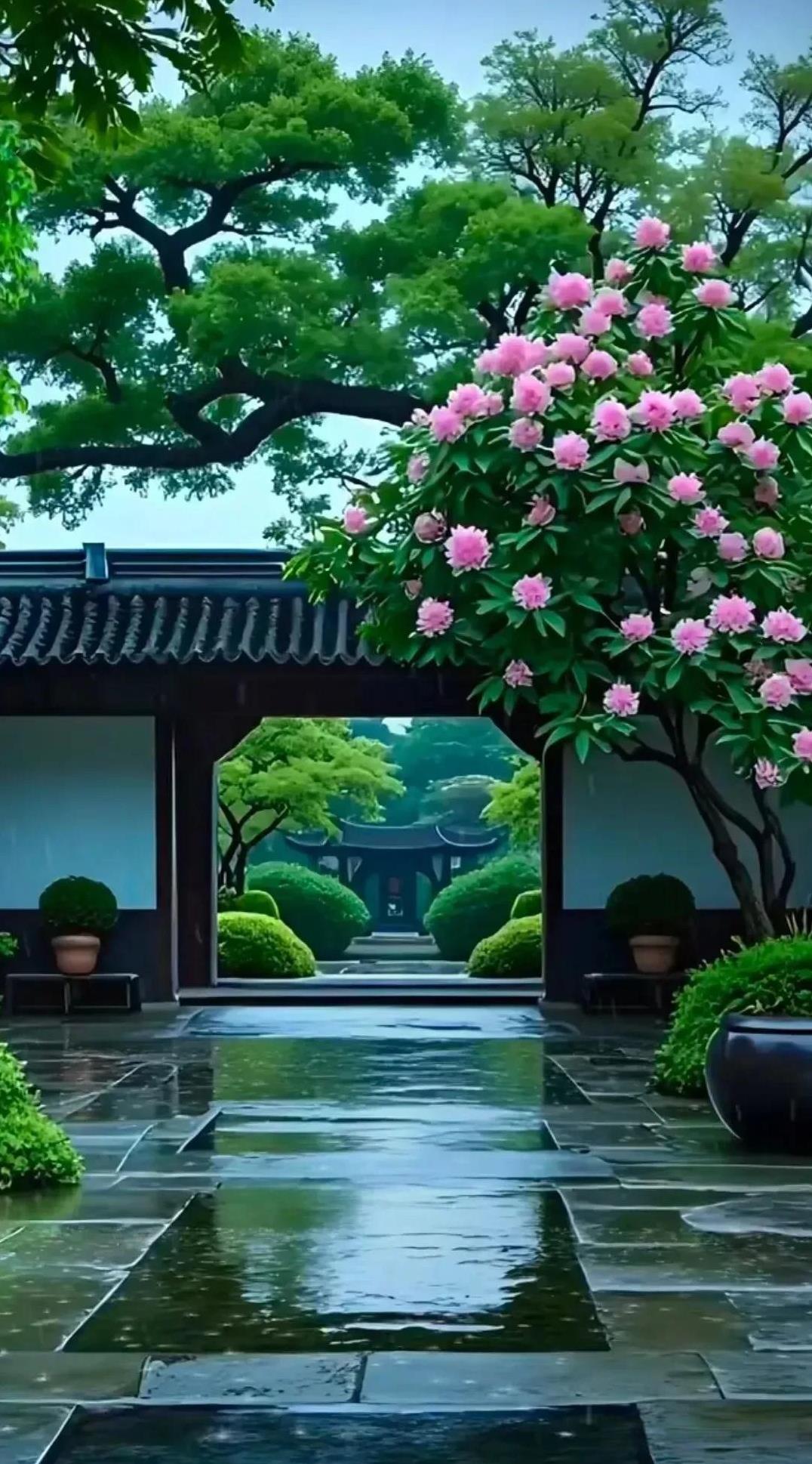 弘一法师icon：