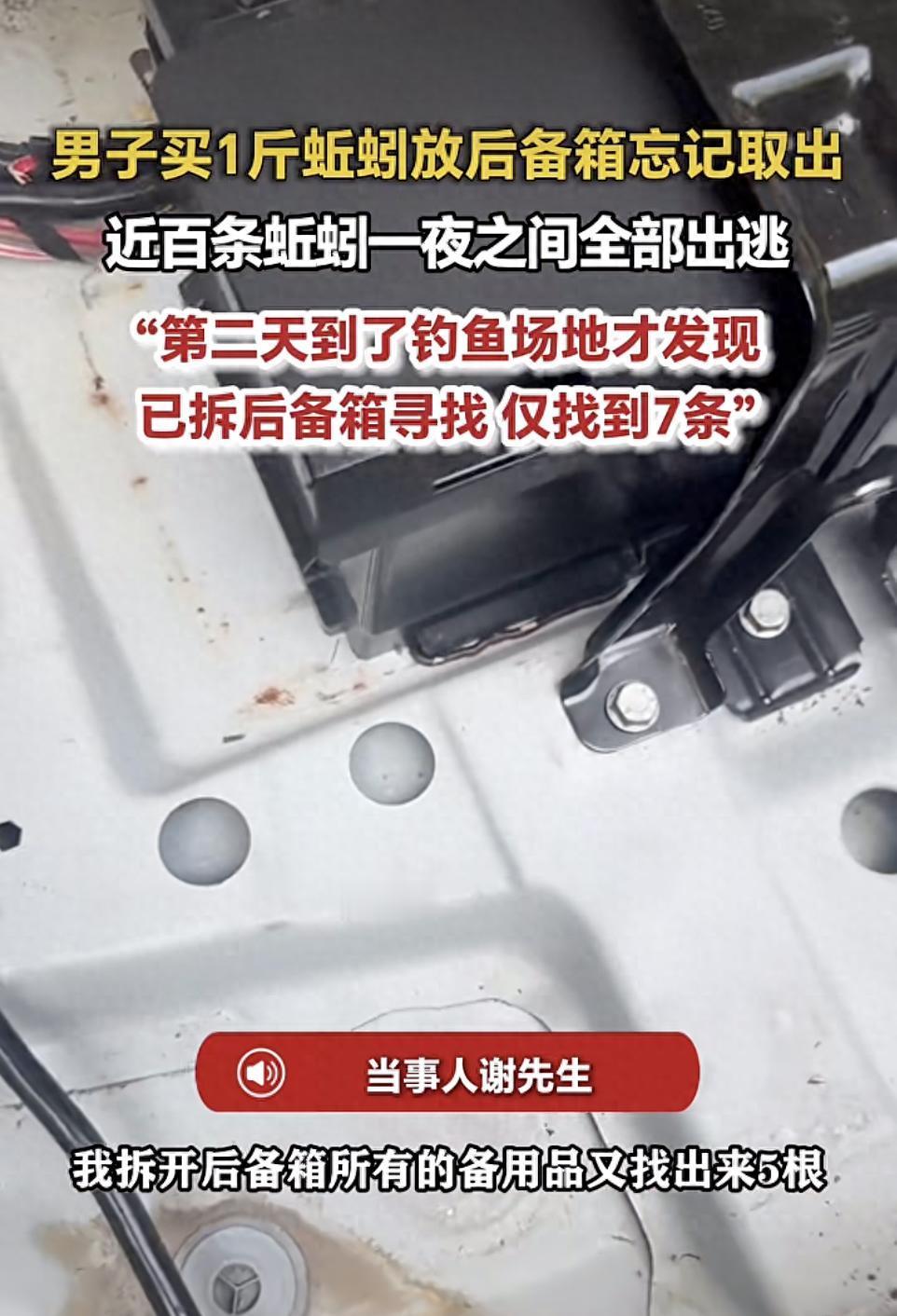 天塌了！9月16日报道，江苏徐州，一男子买了一斤蚯蚓，大概近百条，准备第二天钓鱼