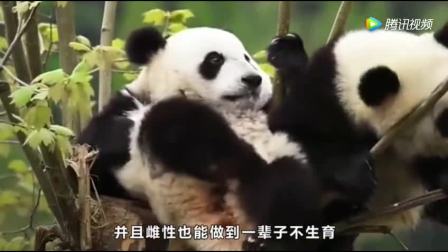 11913587670145492193.jpg?id=0