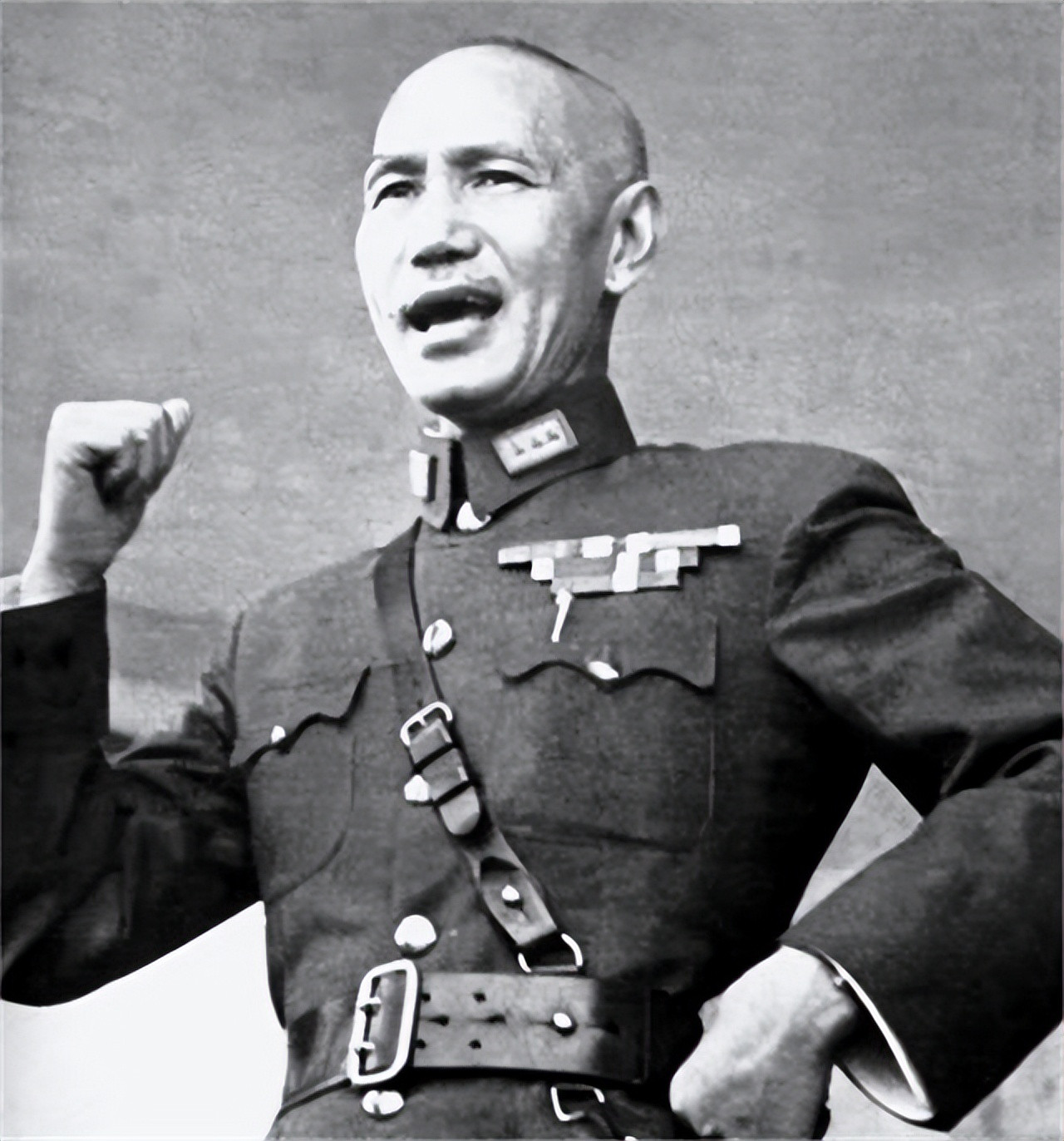 1938年，毛主席问卫立煌：毛驴上山，是先迈左脚，还是先迈右脚？卫立煌听懵了，不