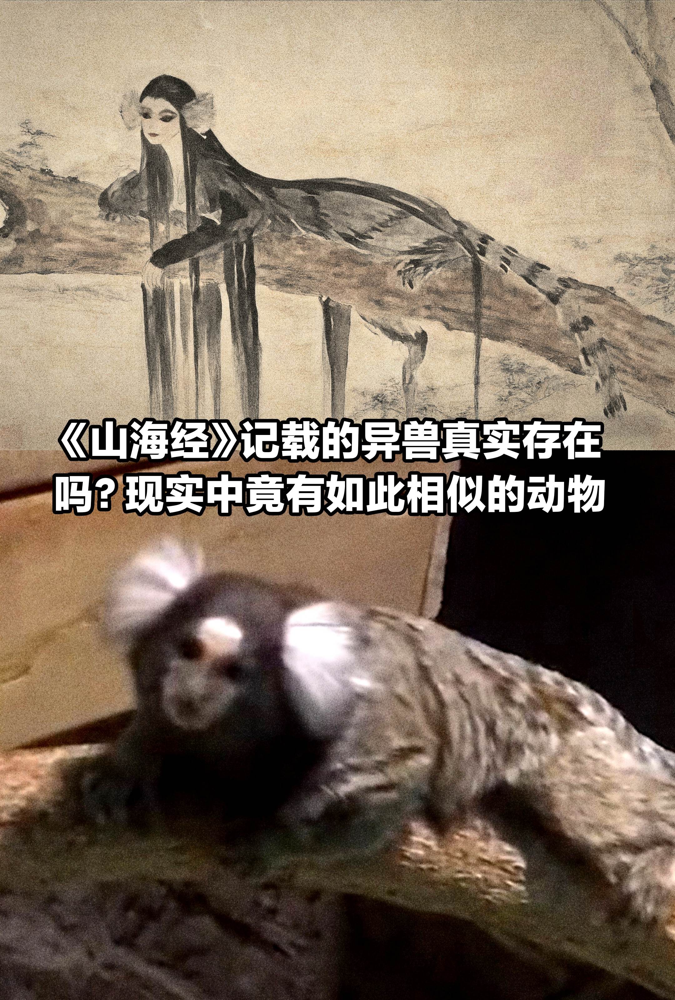 《山海经》中异兽，竟与现实动物如此相似？