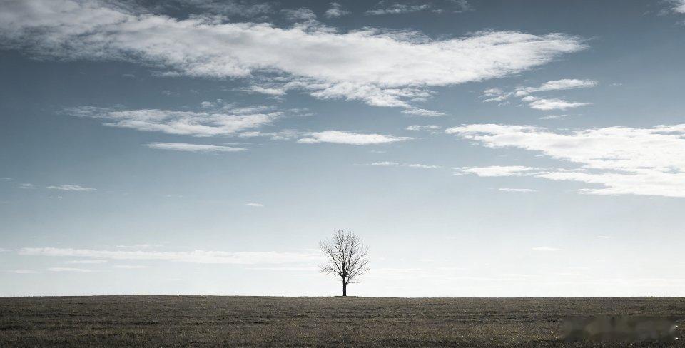 心理强大的十个表现：1.允许一切发生，不较劲。2.永远不问别人原因，沉默就是答案