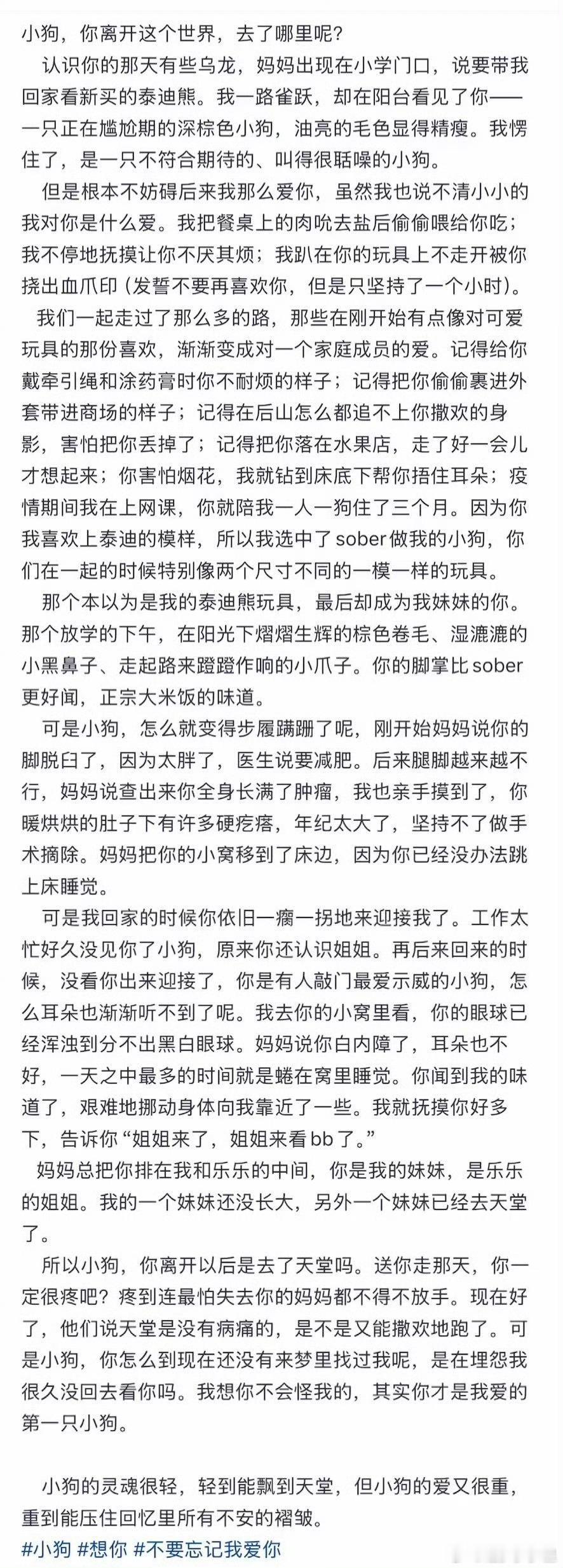 沈羽洁文笔沈羽洁写给去世小狗的长文太好哭了😭"小狗的灵魂很轻，能飘到天堂；小狗