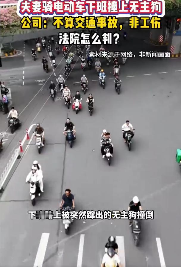 广东广州，一对夫妻加班至21时下班，然后骑电动车回家，突然一条流浪狗突然窜出与车
