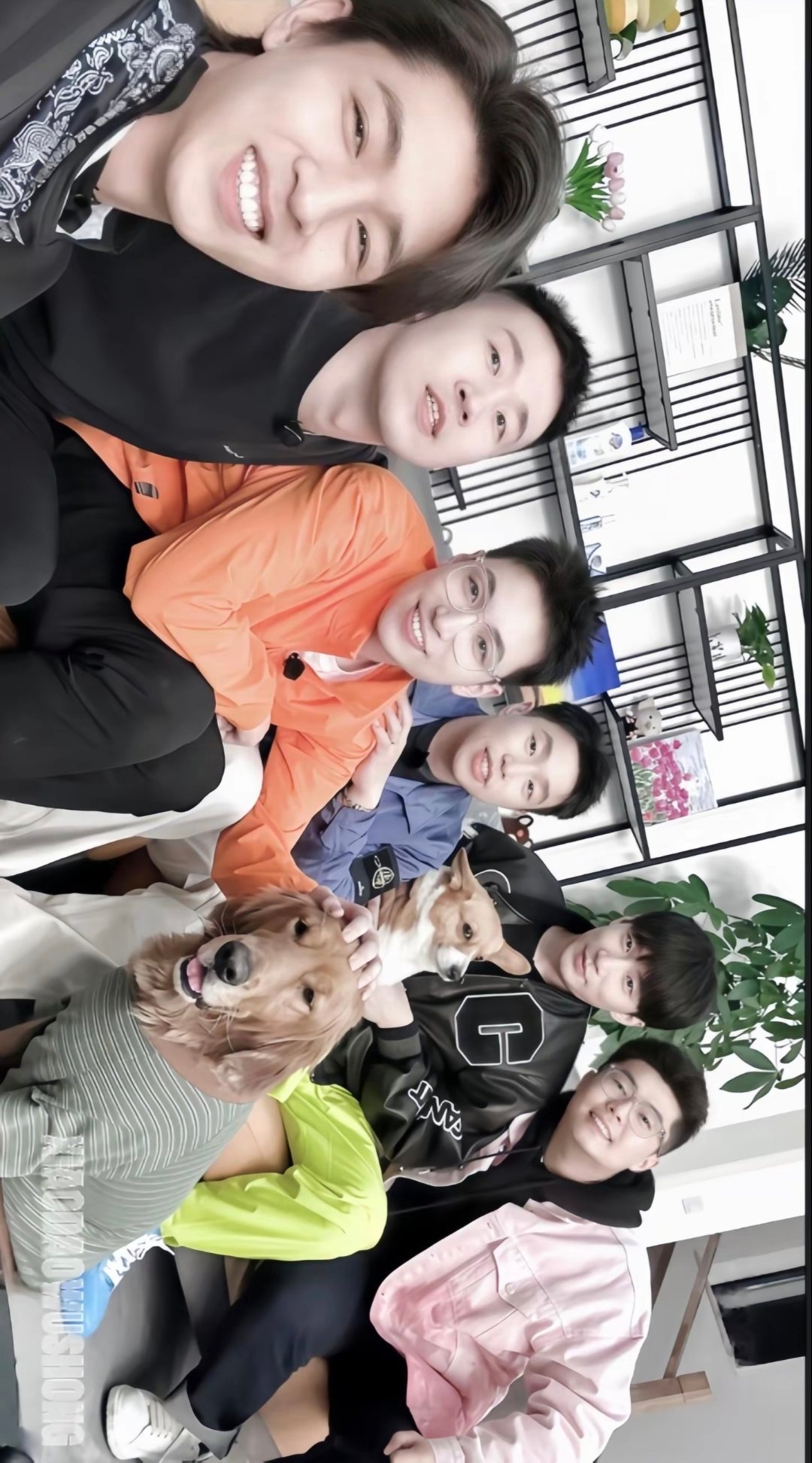 这是什么时候的合影？