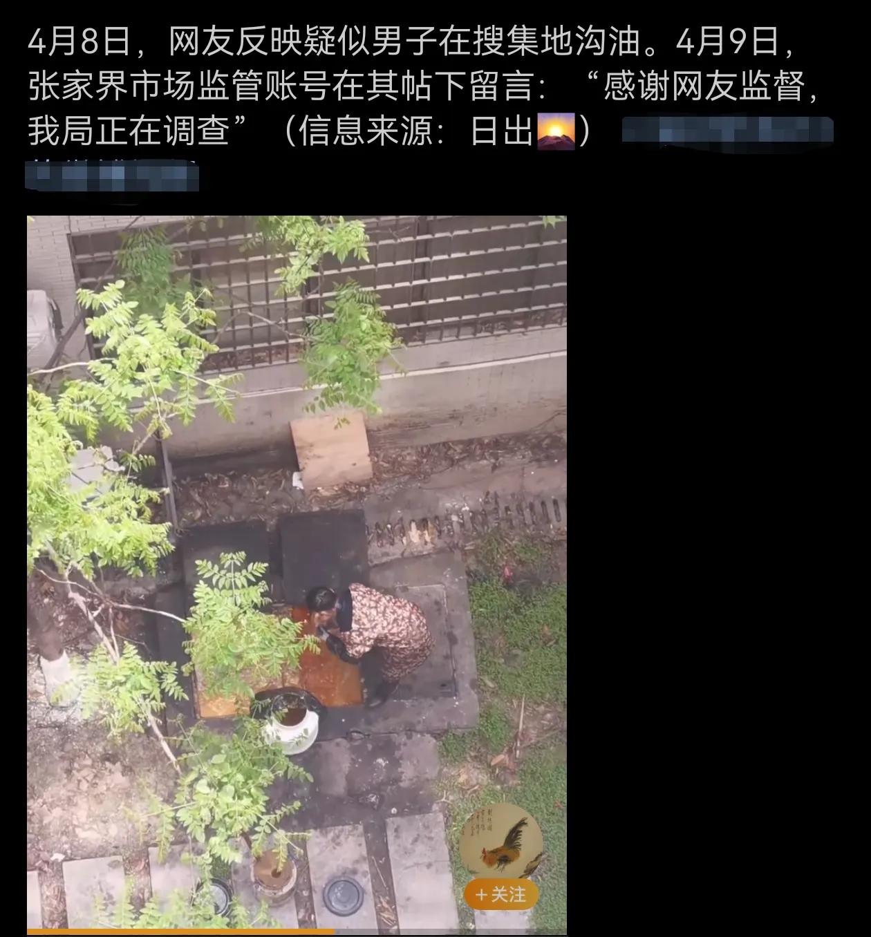对于这种毫无道德底线的不法之徒，应该予以严厉打击和制裁。有网友解读，厨余垃圾收